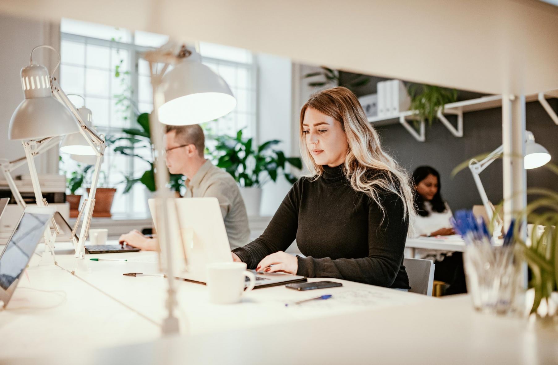 Процесс работы над финансовыми моделями в офисе Zraskep